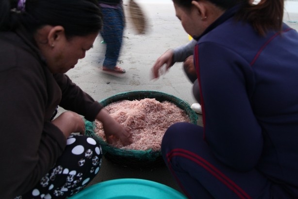 Rang ro hinh anh ngu dan Da Nang boi thu ruoc bien-Hinh-6